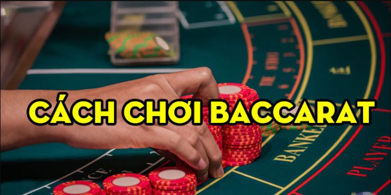 Kinh nghiệm đặt cược Baccarat hay từ các chuyên gia