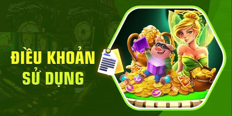 Giới thiệu điều khoản sử dụng nhà cái 69VN